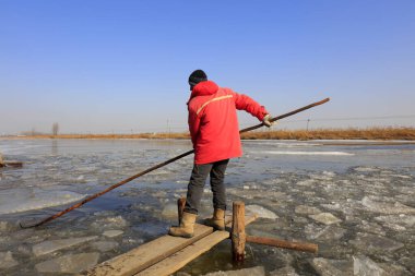 Luannan County - January 26, 2018: farmers use poles to move ice in the field, Luannan, Hebei, Chin