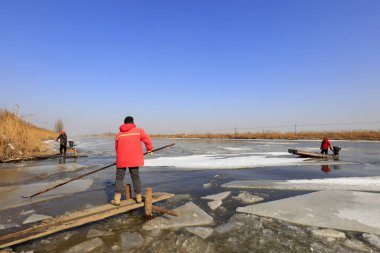Luannan County - January 26, 2018: farmers use poles to move ice in the field, Luannan, Hebei, Chin
