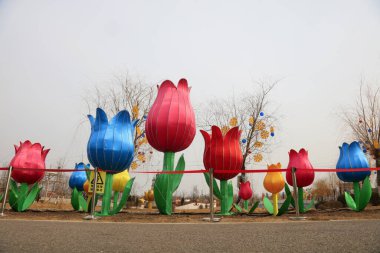 Lale çiçeğinin feneri