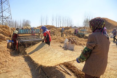 Luannan County - 8 Nisan 2018: İşçiler hasır perde işliyorlar, Luannan County, Hebei Eyaleti, Çin