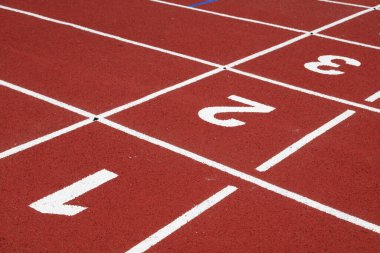 Plastik pist sayısı