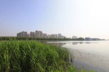 Rıhtım kenti manzarası, Çin