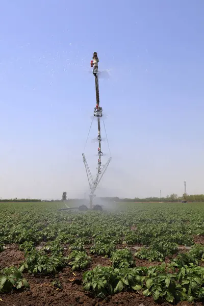 Self propelled high gap sprayer sprayer in field, North China