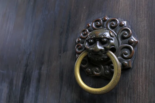 The metal animal head knocker is on the door panel