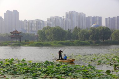 LUANNAN COUNTY, Çin - 7 Haziran 2018: Lotus yaprakları arasında balıkçı tekneleri mekiği, LUANNAN COUNTY, Hebei Eyaleti, Çin