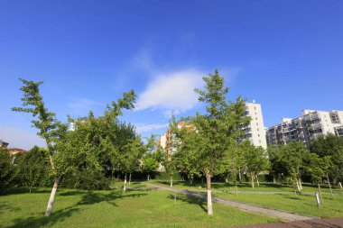 Şehir parkı manzarası, Çin