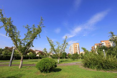 Şehir parkı manzarası, Çin