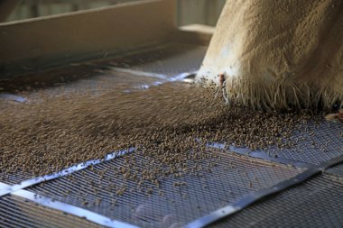 Besleme fabrikası makineleri ve ekipmanları