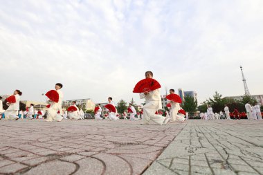 Luannan County - 25 Ağustos 2018: Tai Chi Kung Fu Fan Performansı, Luannan County, Hebei Eyaleti, Çin