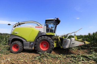 Luannan İlçesi - 29 Ağustos 2018: Çin 'in Hebei Eyaleti, Luannan Eyaleti' nde tahıl hasat etmek için özel makineler