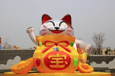 Kedi modelleme aracı fotoğrafa yakın çekim