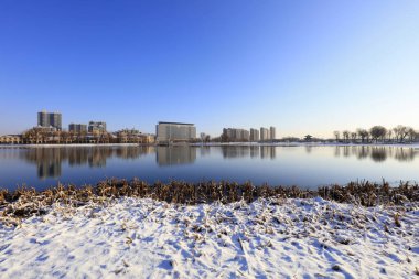 Şehir parkı kar manzarası, Tangshan, Çin