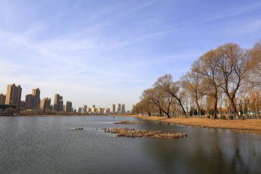 Liman parkı manzarası, Chin.