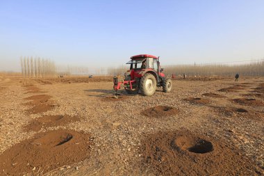 Luannan County - 21 Mart 2018: Ağaç dikme makinesi çalışıyor, Luannan County, Hebei Eyaleti, Chin