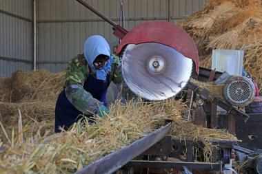 Luannan County - 8 Nisan 2018: İşçiler hasır ürün işliyorlar, Luannan County, Hebei Eyaleti, Çin