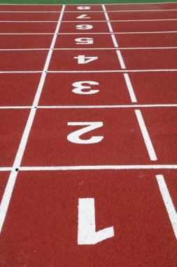 Plastik pist sayısı