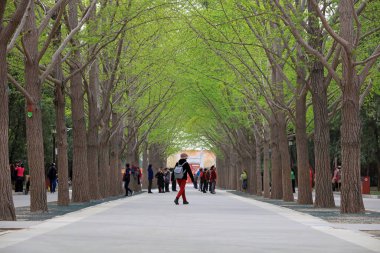 Pekin, Çin - 6 Nisan 2019: Ditan Park, Pekin, Çin 'de turistler oynuyor