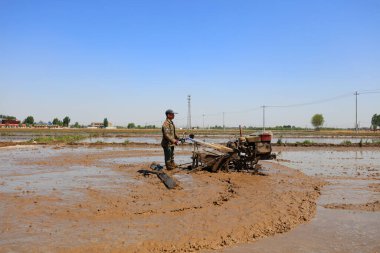 LUANNAN COUNTY, Hebei Eyaleti, Çin - 6 Mayıs 2019: Çiftçiler pirinç ekimi için çeltik tarlalarını düzleştirmek için tarımsal makineler kullanıyorlar.