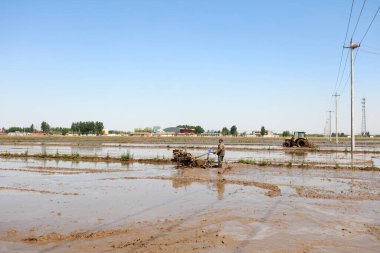 LUANNAN COUNTY, Hebei Eyaleti, Çin - 6 Mayıs 2019: Çiftçiler pirinç ekimi için çeltik tarlalarını düzleştirmek için tarımsal makineler kullanıyorlar.
