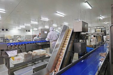 Luannan County, Çin - 18 Haziran 2019: İşçiler ızgara işleme hattı ile meşguller, Luannan County, Hebei Eyaleti, Çin