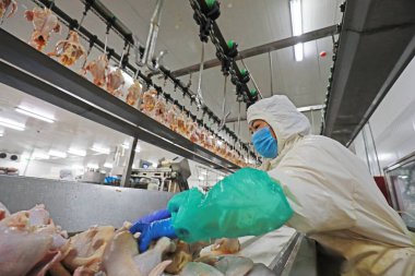 Luannan County, Çin - 18 Haziran 2019: İşçiler ızgara işleme hattı ile meşguller, Luannan County, Hebei Eyaleti, Çin