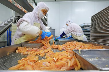 Luannan County, Çin - 18 Haziran 2019: İşçiler ızgara işleme hattı ile meşguller, Luannan County, Hebei Eyaleti, Çin