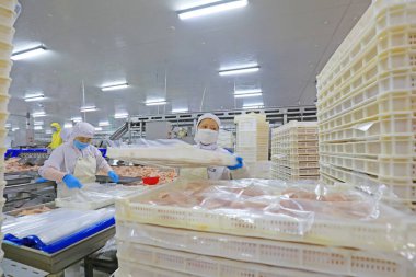 Luannan County, Çin - 18 Haziran 2019: İşçiler ızgara işleme hattı ile meşguller, Luannan County, Hebei Eyaleti, Çin