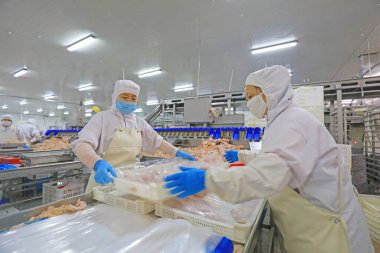 Luannan County, Çin - 18 Haziran 2019: İşçiler ızgara işleme hattı ile meşguller, Luannan County, Hebei Eyaleti, Çin