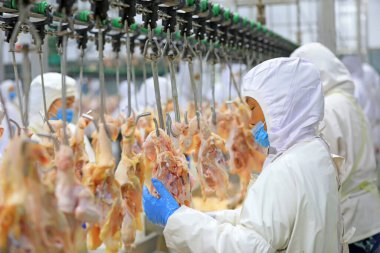 Luannan County, Çin - 18 Haziran 2019: İşçiler ızgara işleme hattı ile meşguller, Luannan County, Hebei Eyaleti, Çin