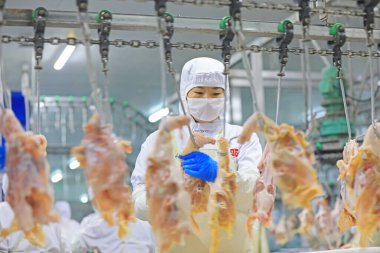 Luannan County, Çin - 18 Haziran 2019: İşçiler ızgara işleme hattı ile meşguller, Luannan County, Hebei Eyaleti, Çin