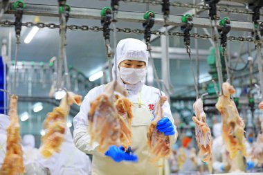 Luannan County, Çin - 18 Haziran 2019: İşçiler ızgara işleme hattı ile meşguller, Luannan County, Hebei Eyaleti, Çin