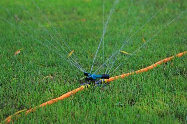 Bahçedeki fıskiye sulama tesisleri