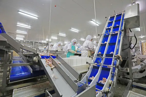 Luannan County, Çin - 18 Haziran 2019: İşçiler ızgara işleme hattı ile meşguller, Luannan County, Hebei Eyaleti, Çin