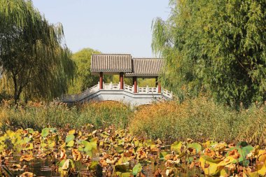 Parktaki Çin klasik mimarisi manzarası
