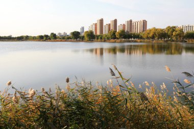 Kıyı kenti Kuzey Çin 'in sonbahar manzarası