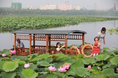 Luannan County, Çin - 15 Temmuz 2019: Turistler Çin 'in Hebei Eyaleti' ndeki Luannan County 'de bir yolcu gemisinde lotus çiçeklerinin fotoğraflarını çekiyorlar.
