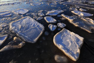 Donmuş sahil doğal manzara, Qinhuangdao Şehri, Çin