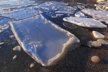 Donmuş sahil doğal manzara, Qinhuangdao Şehri, Çin