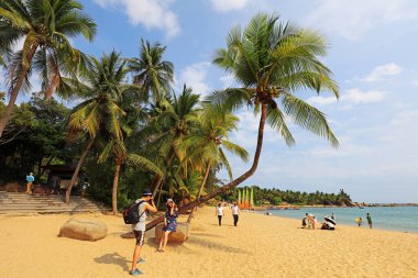 Sanya City, Çin - 2 Nisan 2019: Sanya 'da uzun hindistan cevizi ağaçlarının doğal manzarası, Sanya City, Hainan Eyaleti, Çin