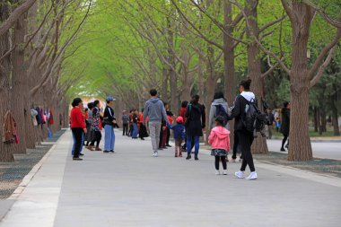 Pekin, Çin - 6 Nisan 2019: Ditan Park, Pekin, Çin 'de turistler oynuyor