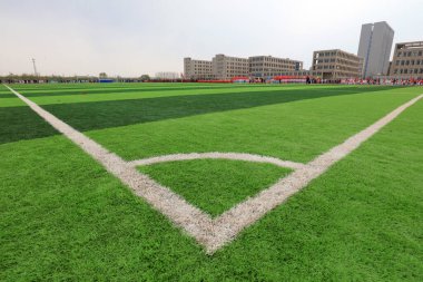 Suni çimenlikteki beyaz çizgi oyun parkında.