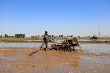 LUANNAN COUNTY, Hebei Eyaleti, Çin - 6 Mayıs 2019: Çiftçiler pirinç ekimi için çeltik tarlalarını düzleştirmek için tarımsal makineler kullanıyorlar.