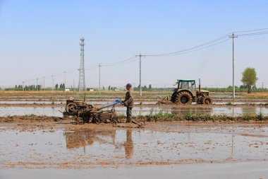 LUANNAN COUNTY, Hebei Eyaleti, Çin - 6 Mayıs 2019: Çiftçiler pirinç ekimi için çeltik tarlalarını düzleştirmek için tarımsal makineler kullanıyorlar.