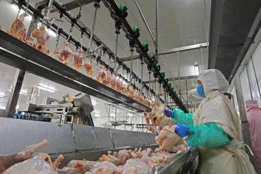 Luannan County, Çin - 18 Haziran 2019: İşçiler ızgara işleme hattı ile meşguller, Luannan County, Hebei Eyaleti, Çin