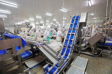 Luannan County, Çin - 18 Haziran 2019: İşçiler ızgara işleme hattı ile meşguller, Luannan County, Hebei Eyaleti, Çin