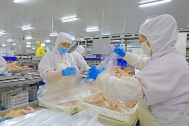 Luannan County, Çin - 18 Haziran 2019: İşçiler ızgara işleme hattı ile meşguller, Luannan County, Hebei Eyaleti, Çin