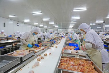 Luannan County, Çin - 18 Haziran 2019: İşçiler ızgara işleme hattı ile meşguller, Luannan County, Hebei Eyaleti, Çin