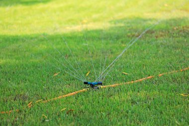 Bahçedeki fıskiye sulama tesisleri