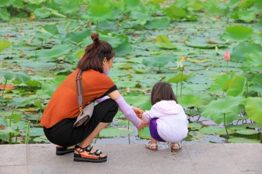 Birkaç anne ve kız çocuğu, Çin 'in Hebei Eyaleti' ndeki Luannan County 'deki bir parktaki gölette nilüfer çiçekleri izliyor.