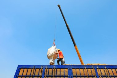 Luannan County, Çin - 3 Temmuz 2019: Çiftçiler patates taşımak için vinç kullanıyorlar, Luannan County, Hebei Eyaleti, Çin.  